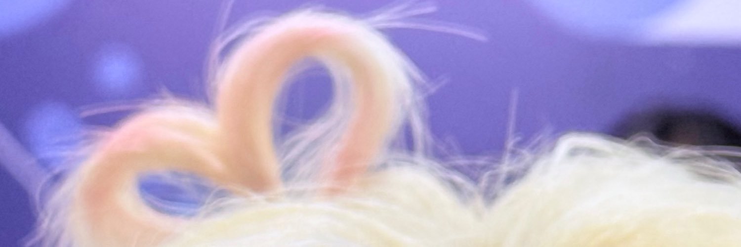 n2mfbc's profile banner image