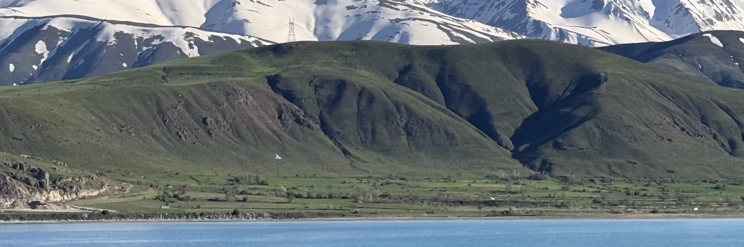 taseylem's profile banner image