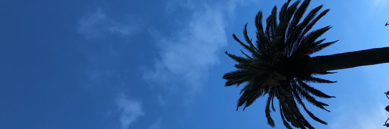 Robert Chavez banner