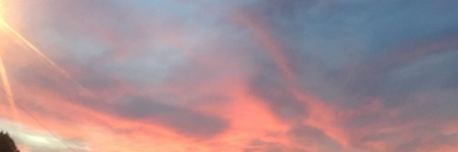 lauraatavarez's profile banner image