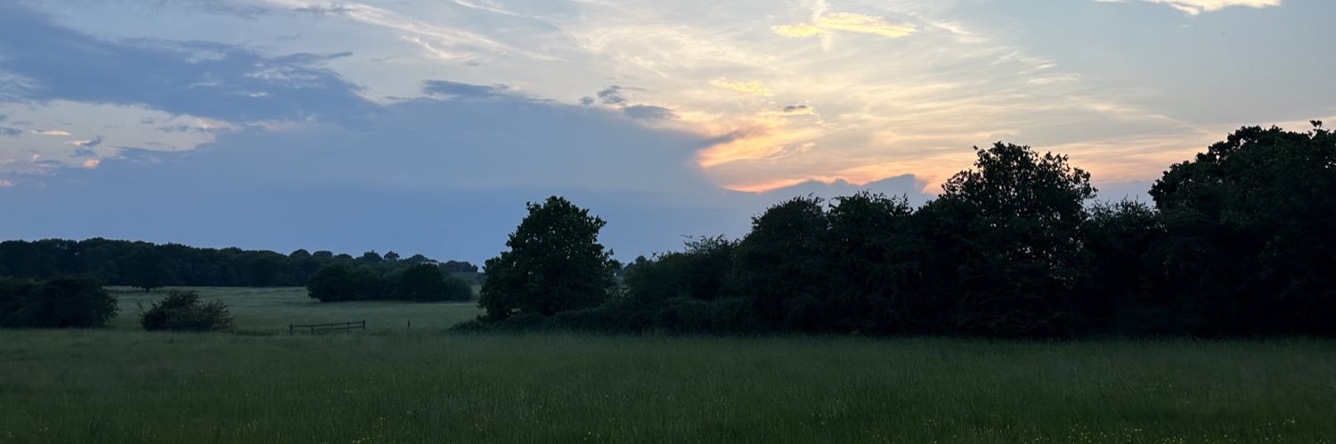 George Ye MSc FRSA ON banner