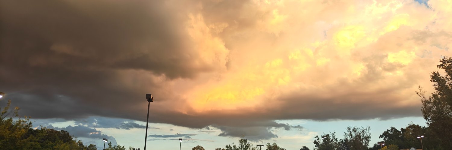 jerseyborn23's profile banner image