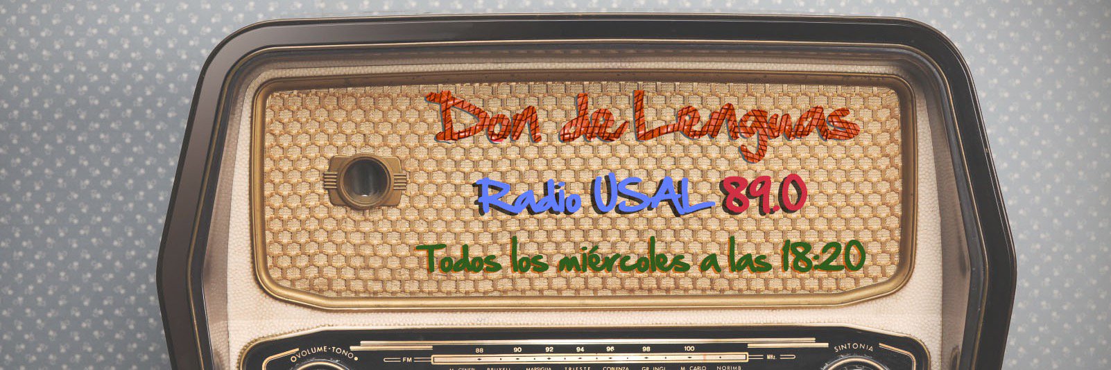 DonDeLenguas's profile banner image