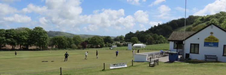 Findon Cricket Club banner