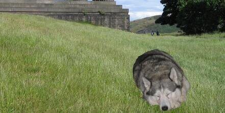 Spir.Sotiropoulou banner