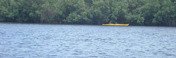 yvesassogba Profile Banner