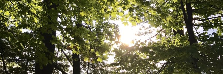 jenfromri's profile banner image