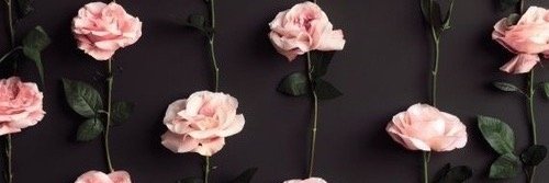 Lala♕Hernández banner