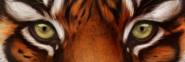 DevinSteel79's profile banner image