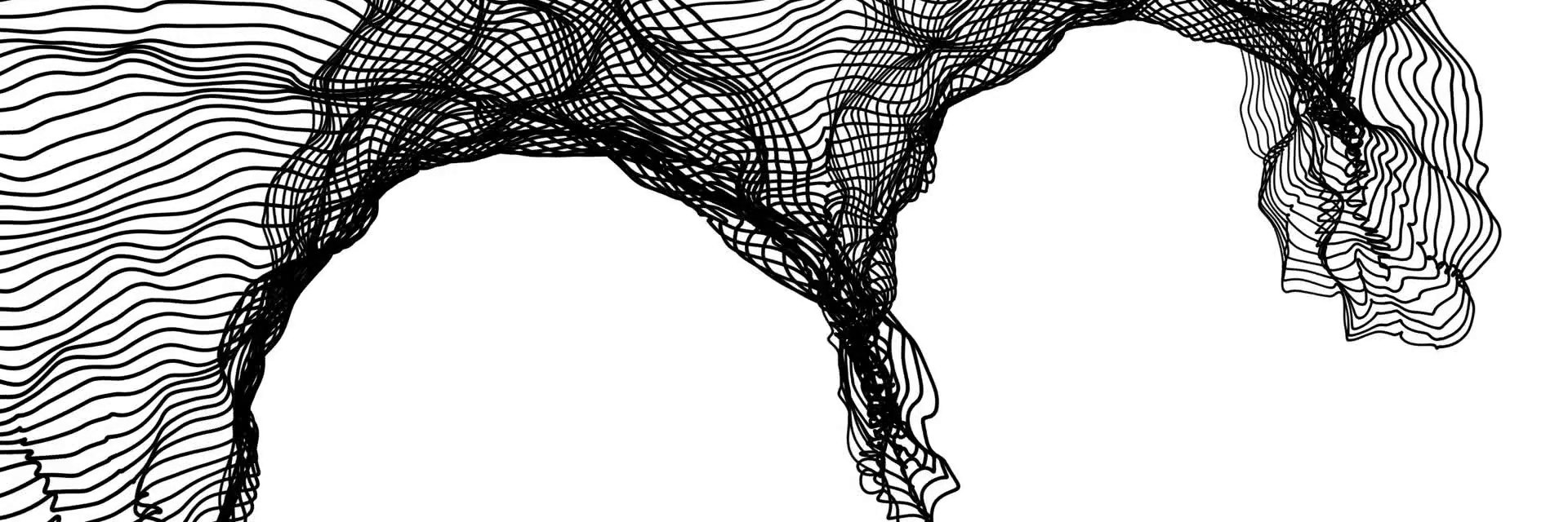 carolsiper's profile banner image