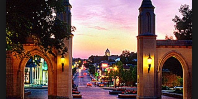 lizz_harris's profile banner image