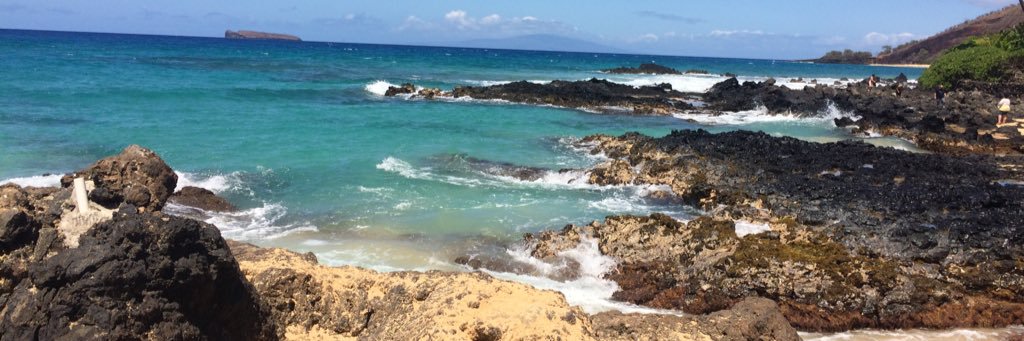 𝕗𝕣𝕖𝕤𝕙.𝕒𝕤.𝕜𝕖𝕝𝕝 banner