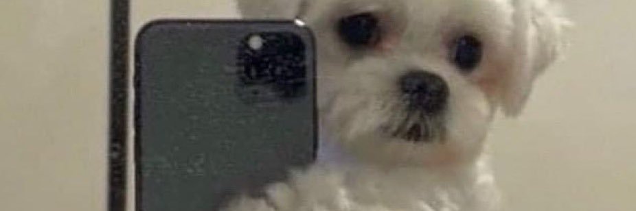 snowbunmadss's profile banner image
