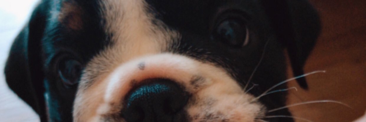 _namoreira's profile banner image