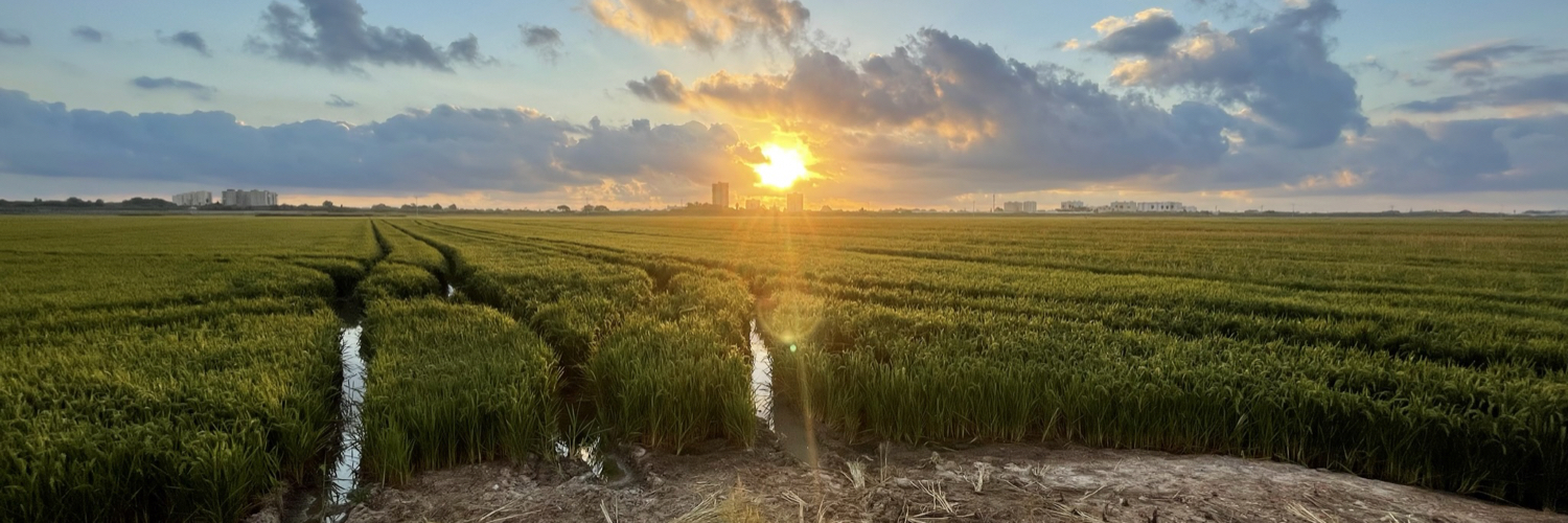Vicente Hernández banner