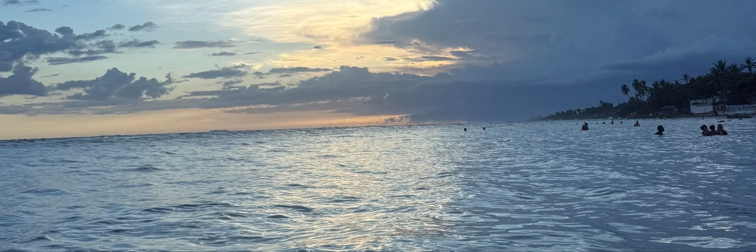 Anitavaxr's profile banner image