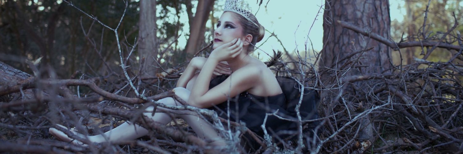 Annwitter's profile banner image