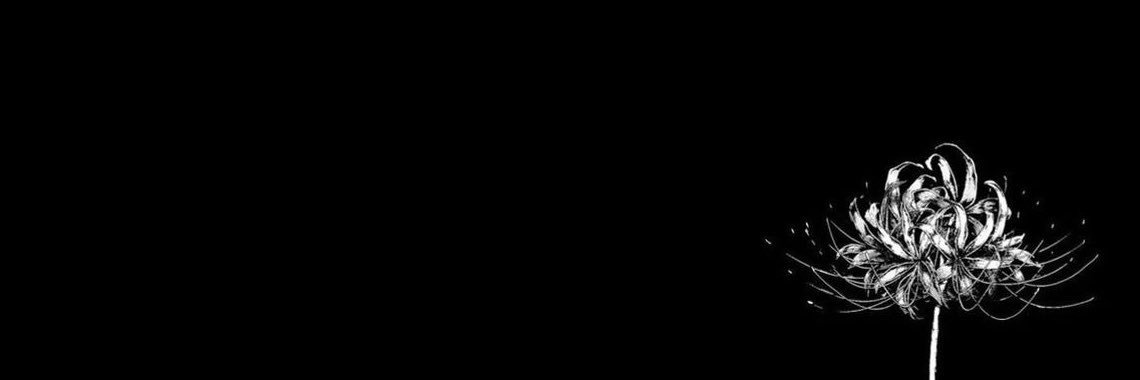 CHOSVEIL's profile banner image
