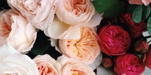 V_G0N's profile banner image