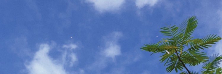 Dewi Ariani banner