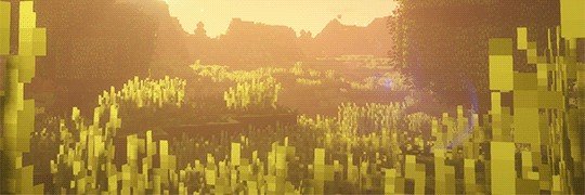 idfftns's profile banner image