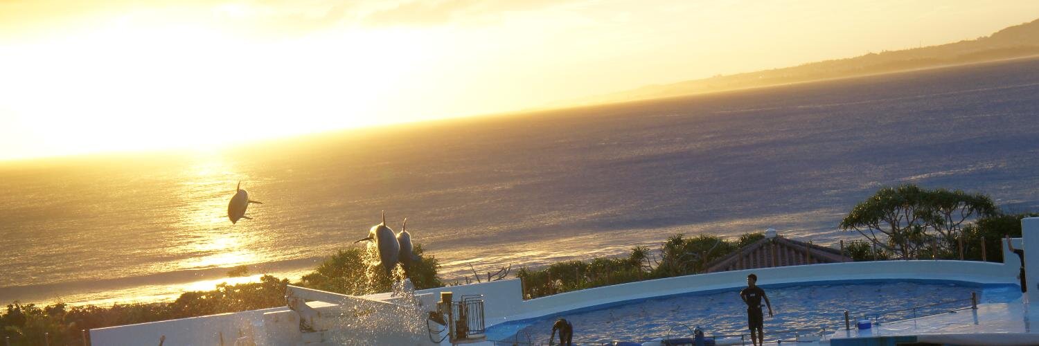 rhnkw's profile banner image