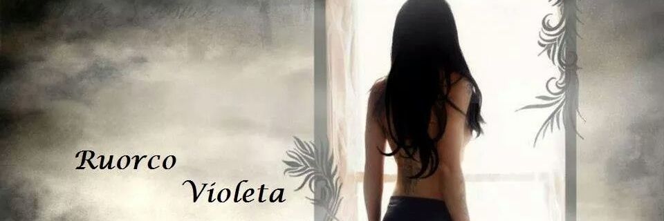 💛💙❤VIOLETA💞🌸 banner