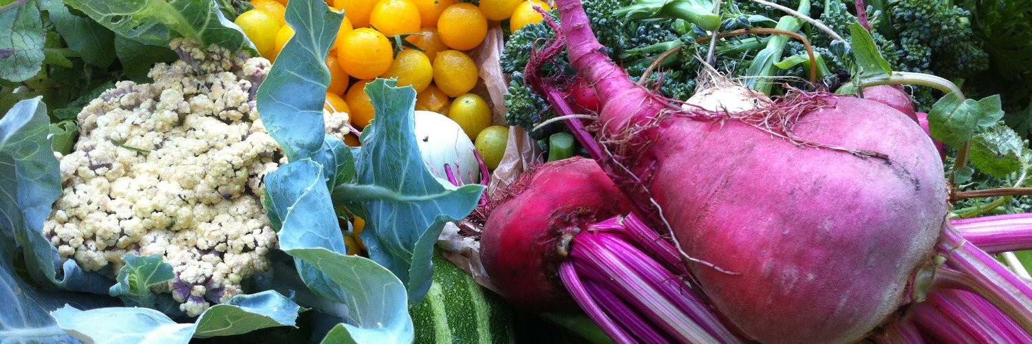 Hunger Free Colorado banner