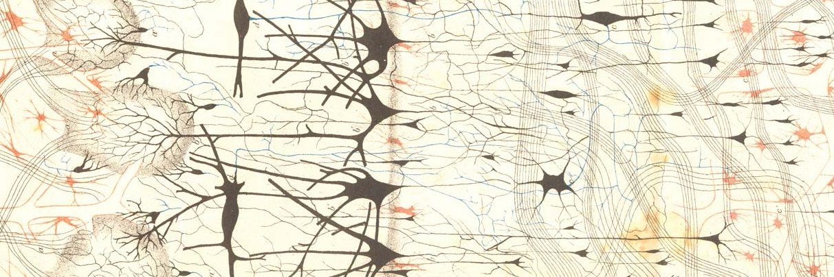 Jonathan Chappelow banner