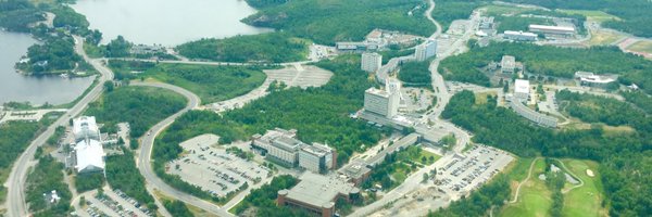 patyoq Profile Banner