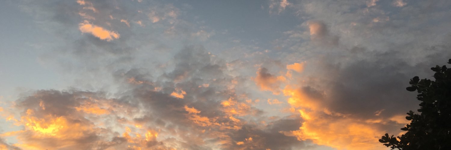 Alannajayne's profile banner image
