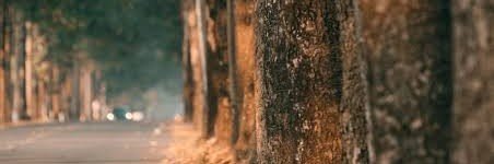 marcomacklo2's profile banner image