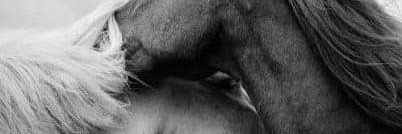 11qknc's profile banner image