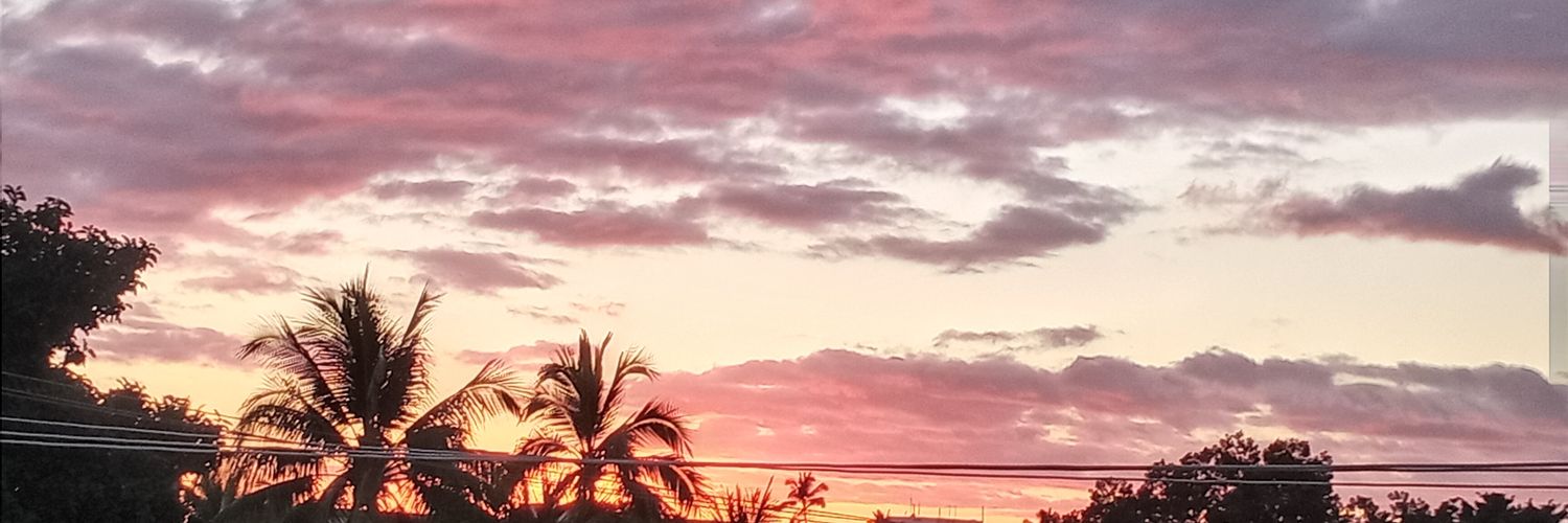 VampettesHawaii's profile banner image