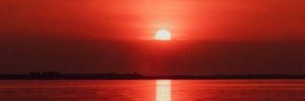 sheenamcrae Profile Banner