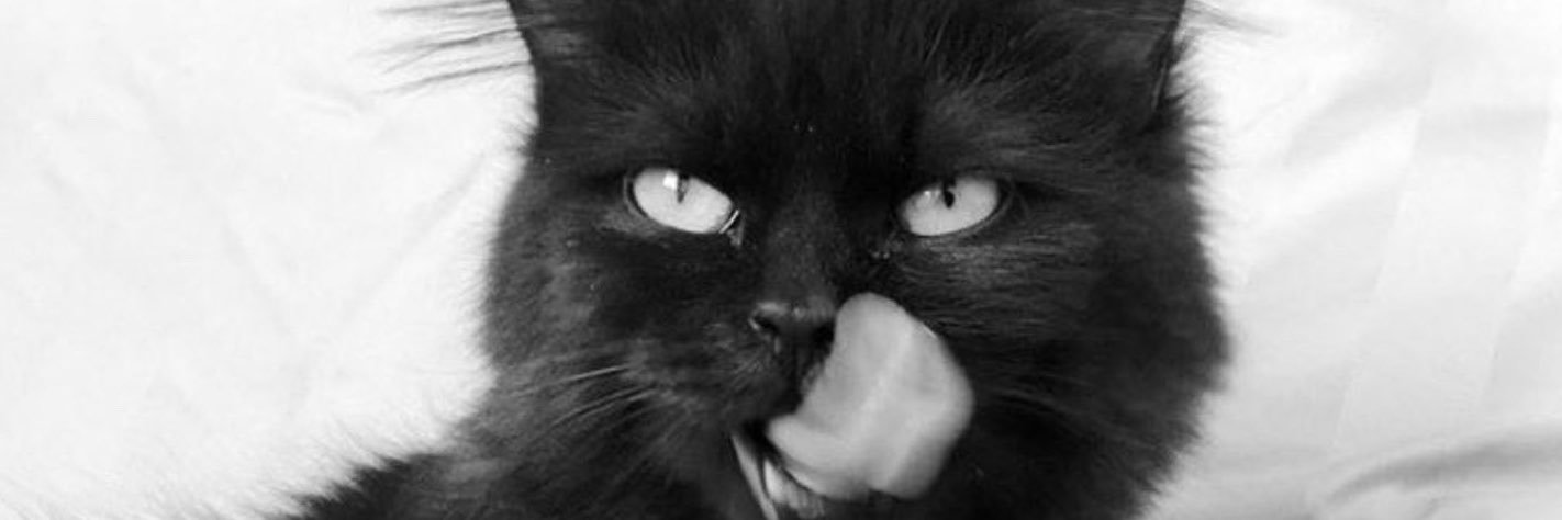 iBlacky77's profile banner image