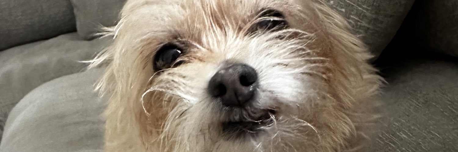 Emsielu's profile banner image