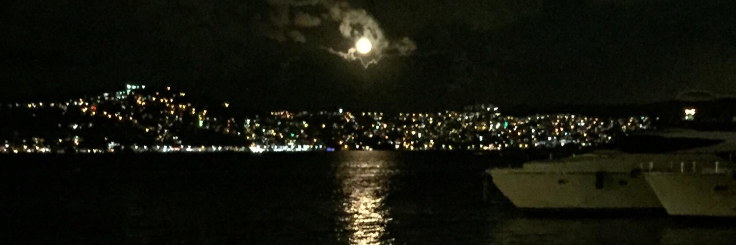 Sebnem Er banner