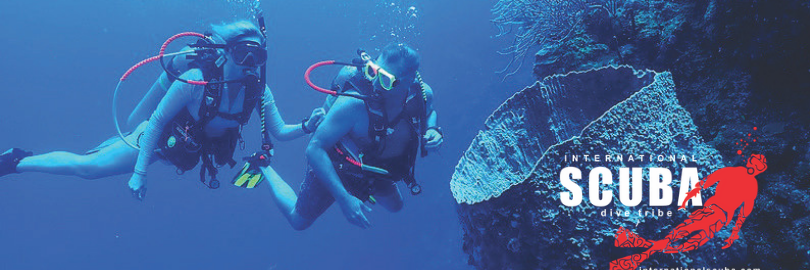 intlscuba's profile banner image