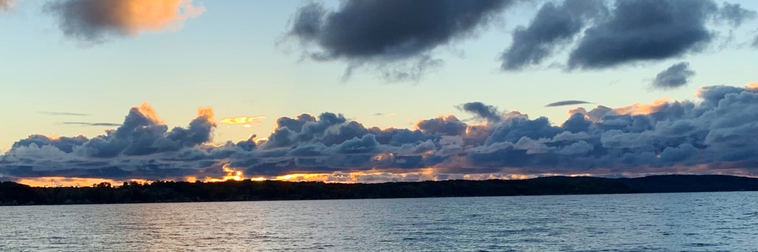 Michael Koert banner