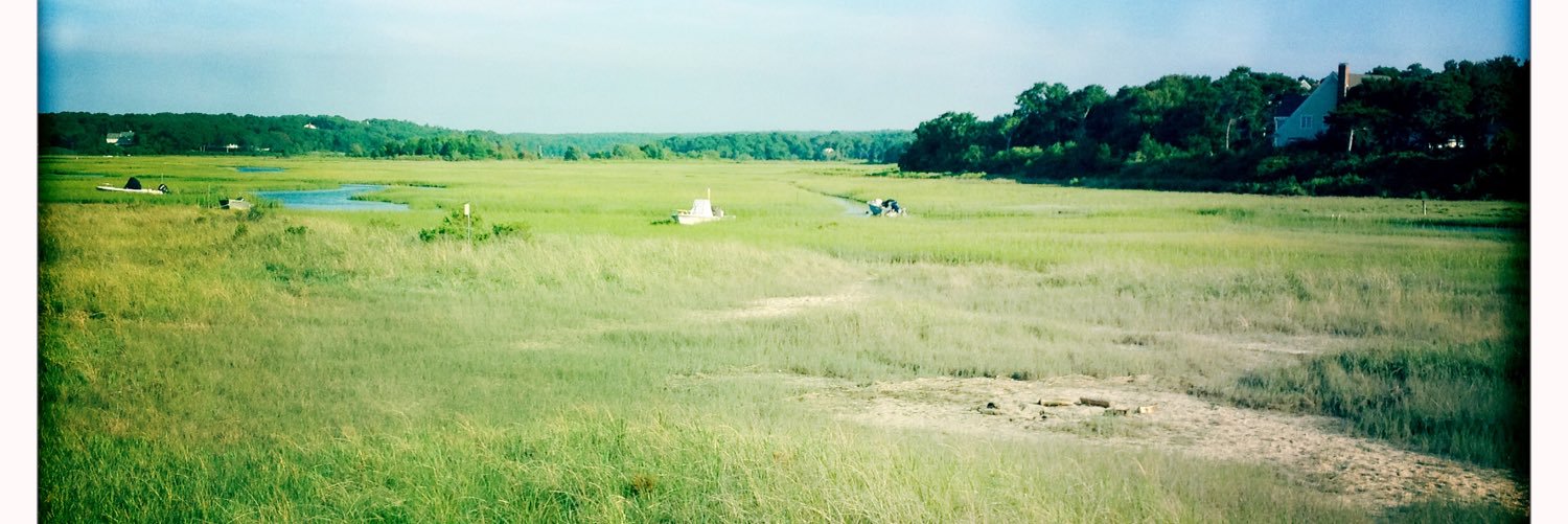 Tony Loomis (he/him/his) banner