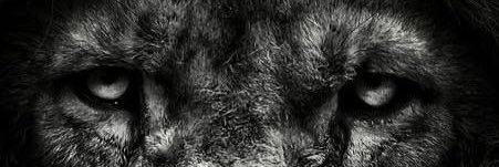 amutuma's profile banner image