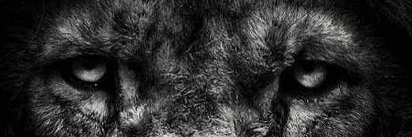 amutuma Profile Banner