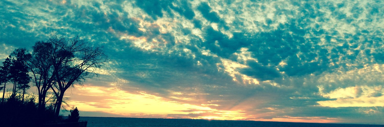 Dan_McNicholas_'s profile banner image