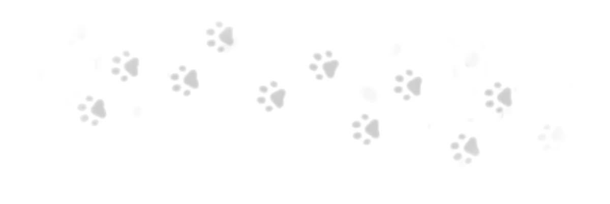 meospooo's profile banner image