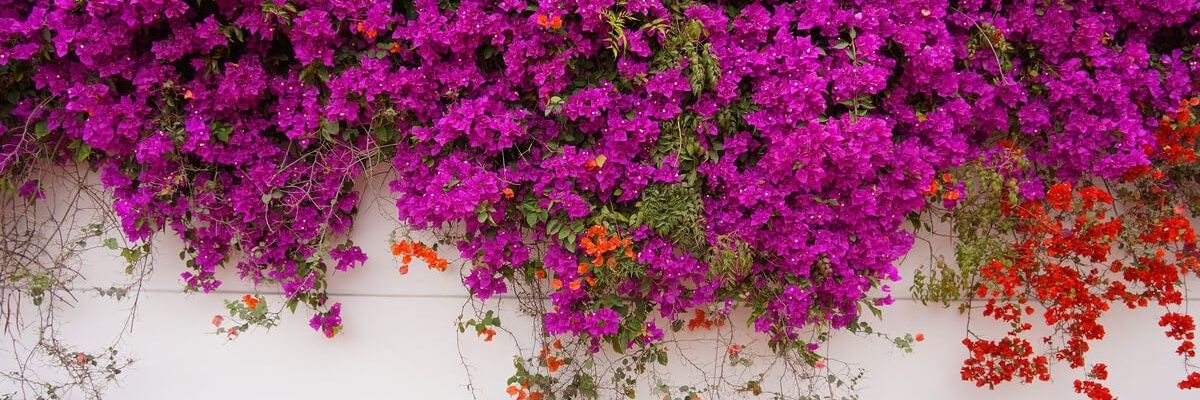 aledtorres's profile banner image