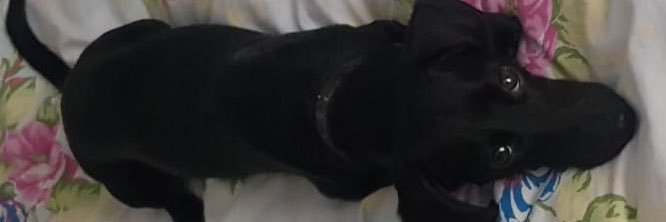 speckle_15's profile banner image