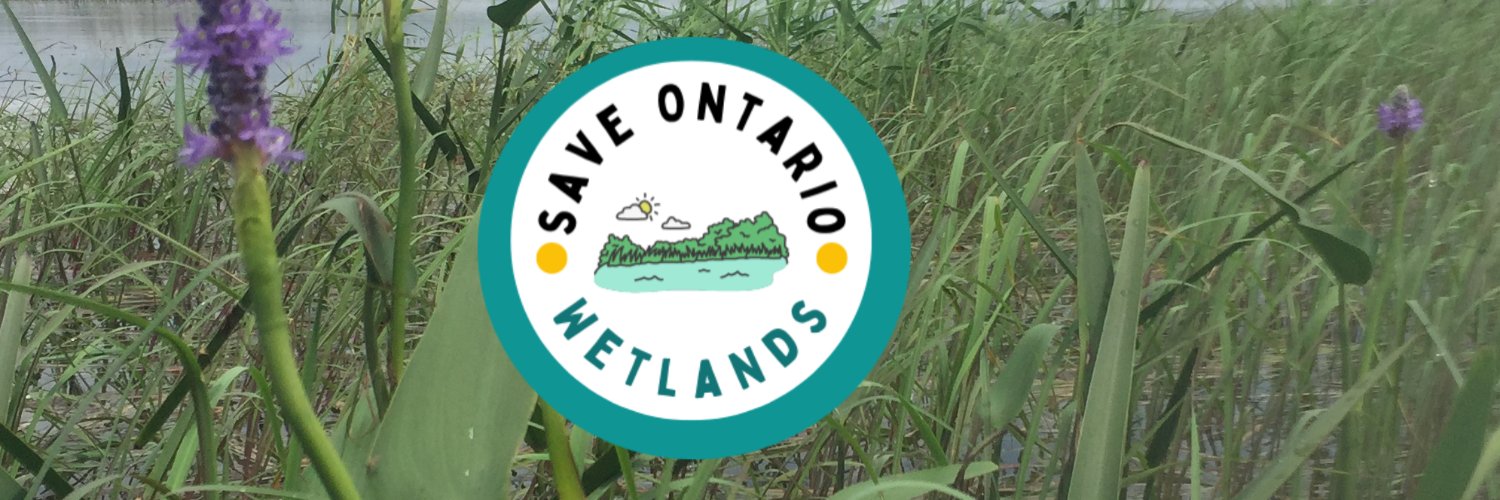 Catriona Leven banner