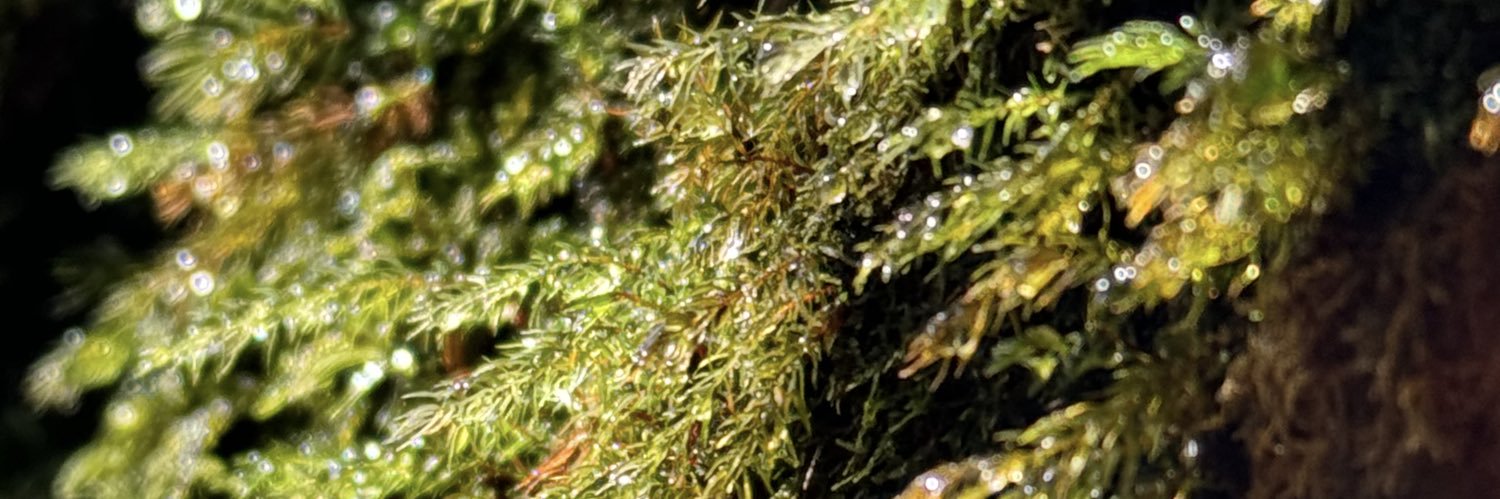 _ri420_'s profile banner image