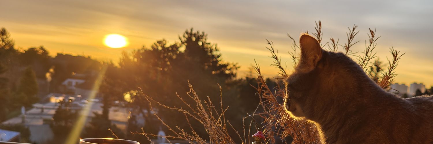 KennyLang's profile banner image